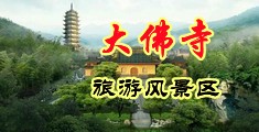 大鸡巴干BB视频网站中国浙江-新昌大佛寺旅游风景区